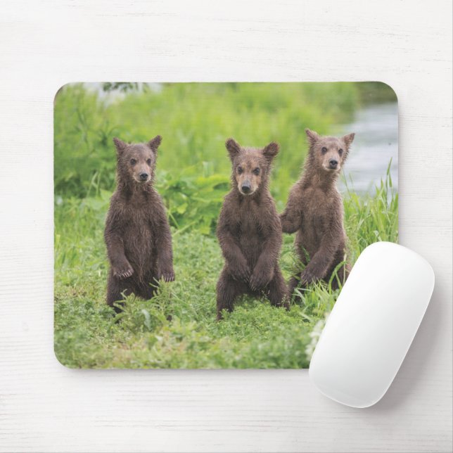 Cutest Baby Animals | Kamchatka Brown Bear Cubs Mouse Mat (With Mouse)