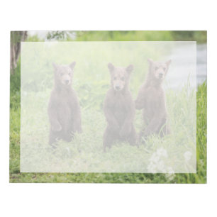 Cutest Baby Animals Kamchatka Brown Bear Cubs Notepad