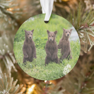 Cutest Baby Animals   Kamchatka Brown Bear Cubs Ornament