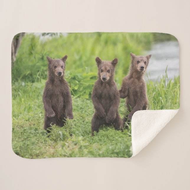 Cutest Baby Animals | Kamchatka Brown Bear Cubs Sherpa Blanket (Front (Horizontal))