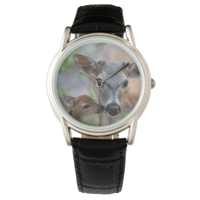 Cutest Baby Animals | Key Deer Stag & Fawn Watch (Front)
