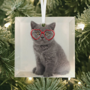 Cutest Baby Animals Kitten Heart Glasses Glass Tree Decoration