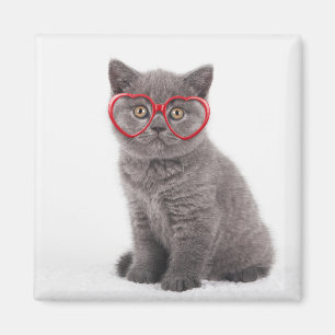 Cutest Baby Animals   Kitten Heart Glasses Magnet