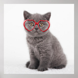 Cutest Baby Animals Kitten Heart Glasses Poster