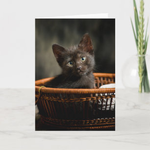 Cutest Baby Animals   Kitten in Basket Card
