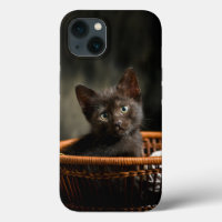 Cutest Baby Animals | Kitten in Basket