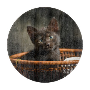 Cutest Baby Animals   Kitten in Basket Cutting Board
