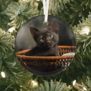 Cutest Baby Animals   Kitten in Basket Glass Tree Decoration
