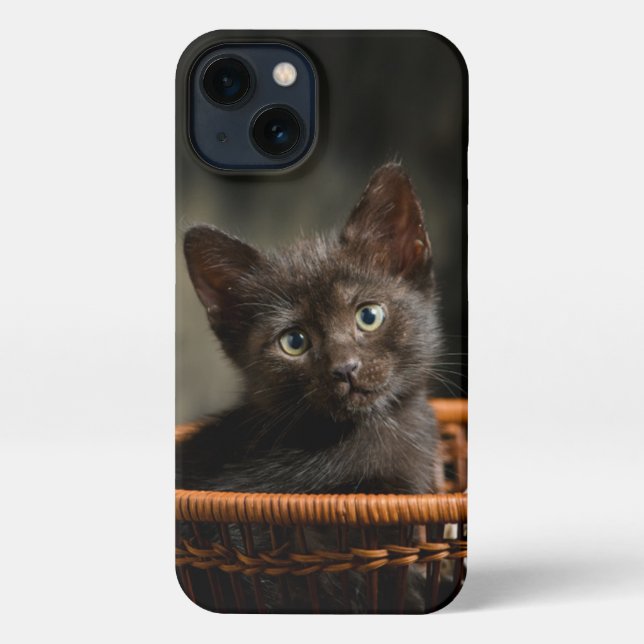 Cutest Baby Animals | Kitten in Basket iPhone Case (Back)