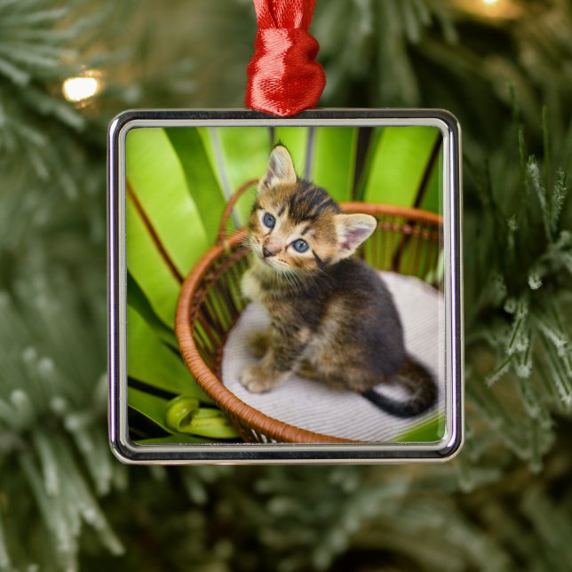 Cutest Baby Animals | Kitten in Basket Metal Tree Decoration (Tree)