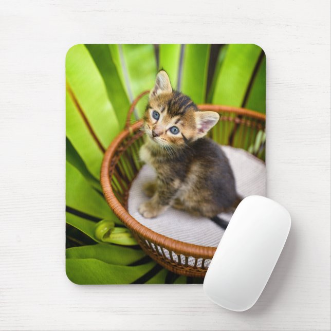 Cutest Baby Animals | Kitten in Basket Mouse Mat (With Mouse)