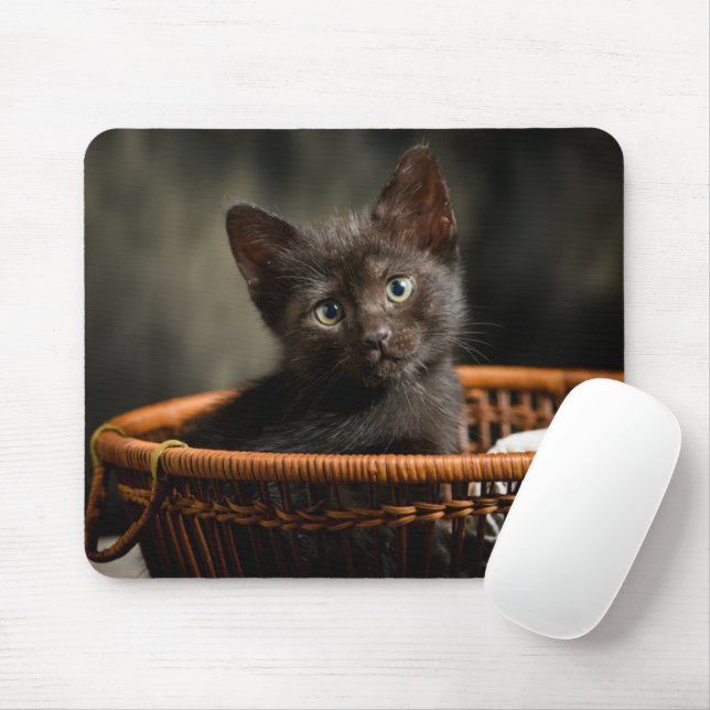 Cutest Baby Animals | Kitten in Basket Mouse Mat (With Mouse)