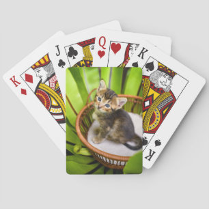 Cutest Baby Animals Kitten in Basket Playing Cards