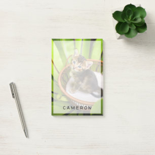 Cutest Baby Animals   Kitten in Basket Post-it Notes