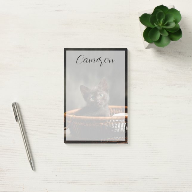 Cutest Baby Animals | Kitten in Basket Post-it Notes (Office)