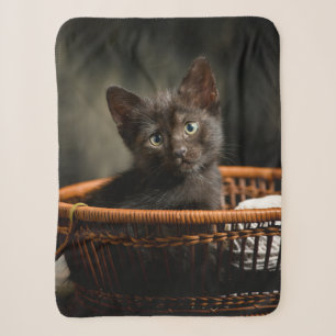 Cutest Baby Animals Kitten in Basket Sherpa Blanket