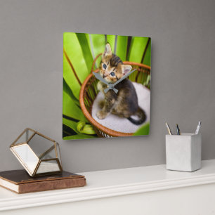 Cutest Baby Animals   Kitten in Basket Square Wall Clock
