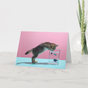 Cutest Baby Animals   Kitten Looking at Fish Bowl Card