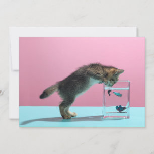 Cutest Baby Animals   Kitten Looking at Fish Bowl Thank You Card