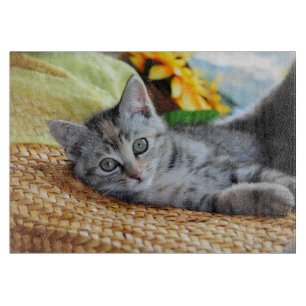 Cutest Baby Animals   Kitten Lounging Cutting Board