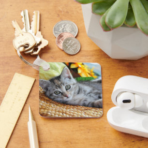 Cutest Baby Animals Kitten Lounging Key Ring