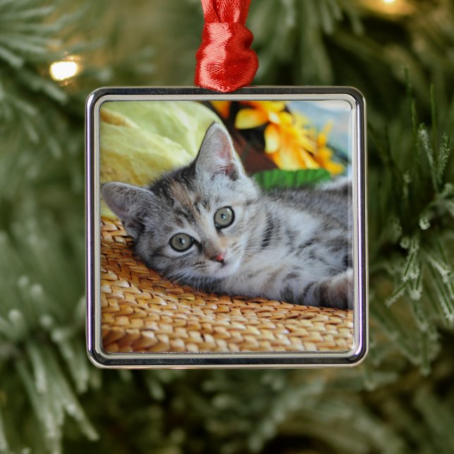 Cutest Baby Animals | Kitten Lounging Metal Tree Decoration (Tree)