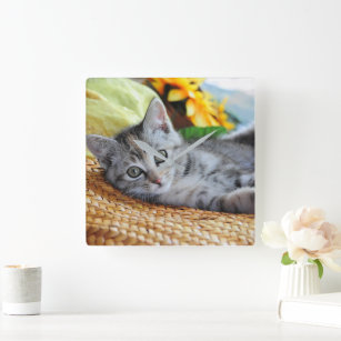 Cutest Baby Animals   Kitten Lounging Square Wall Clock