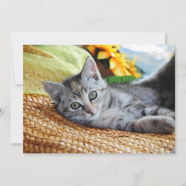 Cutest Baby Animals | Kitten Lounging Thank You Card (Front)