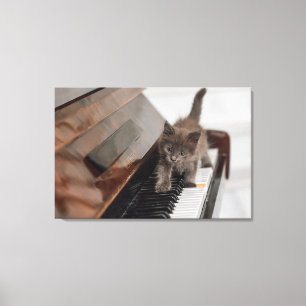 Cutest Baby Animals Kitten on Piano Canvas Print