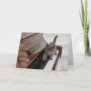 Cutest Baby Animals   Kitten on Piano Card