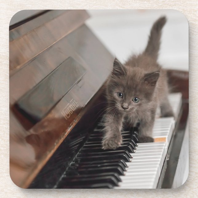 Cutest Baby Animals | Kitten on Piano Coaster (Front)