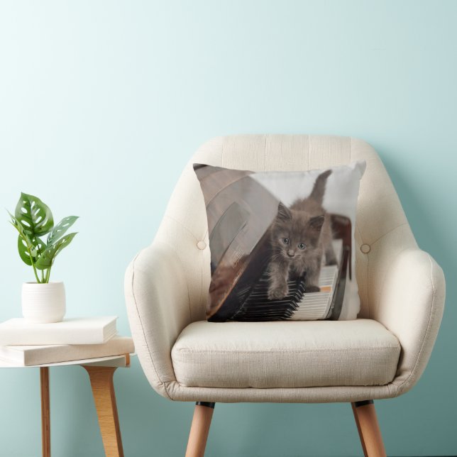 Cutest Baby Animals | Kitten on Piano Cushion (Chair)