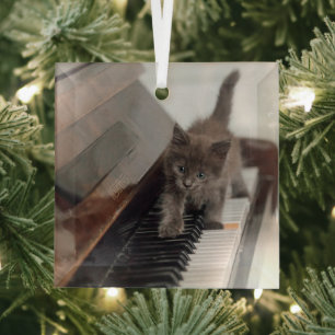 Cutest Baby Animals   Kitten on Piano Glass Tree Decoration