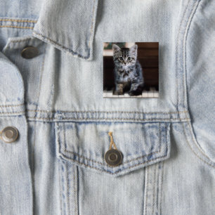 Cutest Baby Animals Kitten on Piano Keys 15 Cm Square Badge
