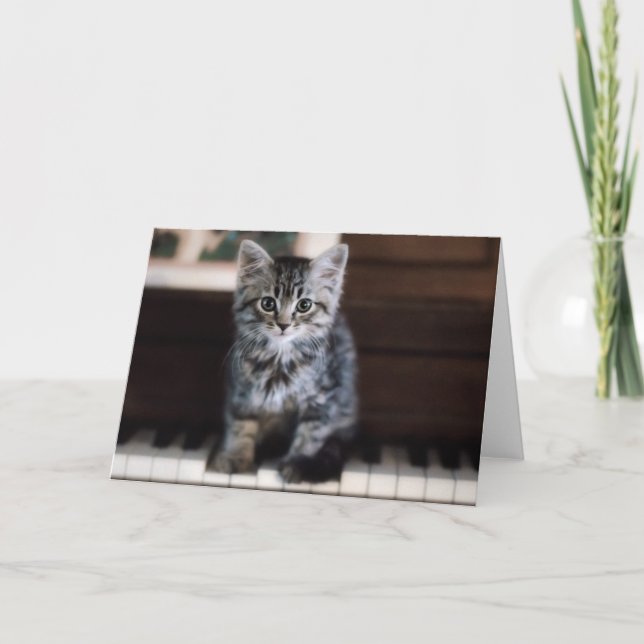 Cutest Baby Animals | Kitten on Piano Keys Card (Front)