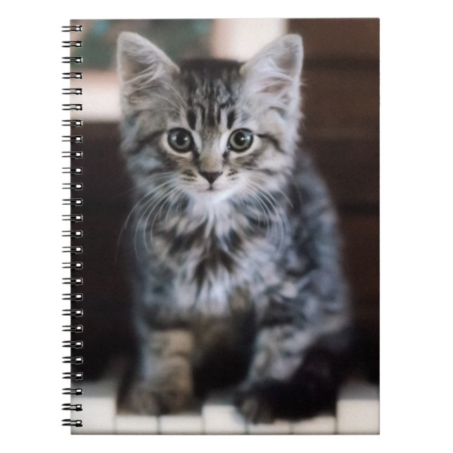 Cutest Baby Animals | Kitten on Piano Keys Notebook (Front)