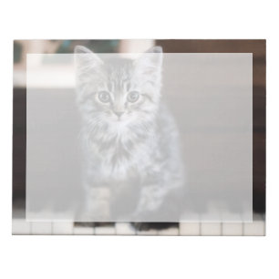 Cutest Baby Animals Kitten on Piano Keys Notepad