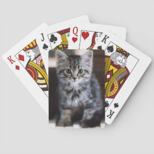 Cutest Baby Animals Kitten on Piano Keys Playing Cards