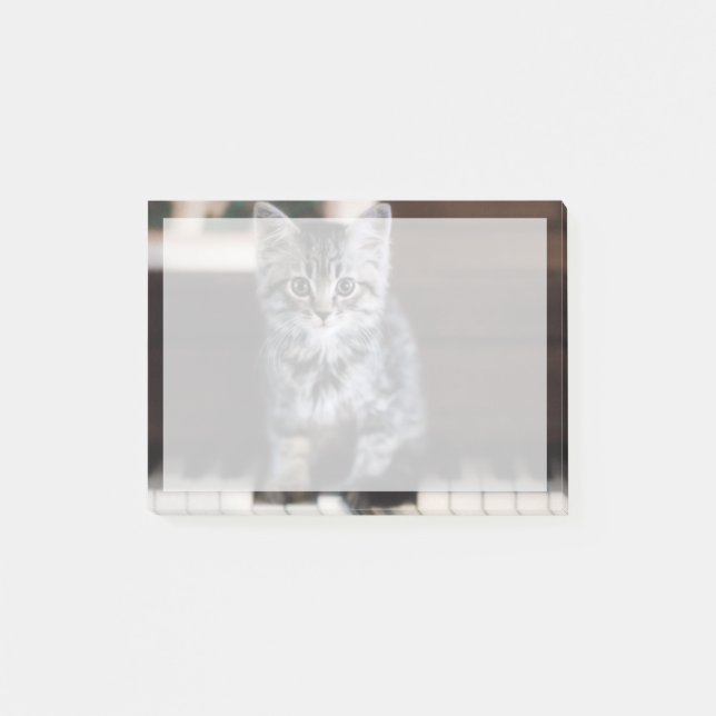 Cutest Baby Animals | Kitten on Piano Keys Post-it Notes (Front)