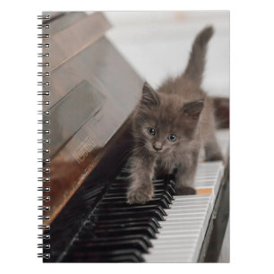 Cutest Baby Animals Kitten on Piano Notebook
