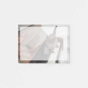 Cutest Baby Animals   Kitten on Piano Post-it Notes
