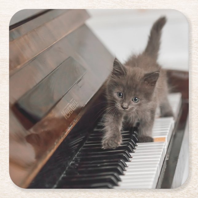 Cutest Baby Animals | Kitten on Piano Square Paper Coaster (Front)