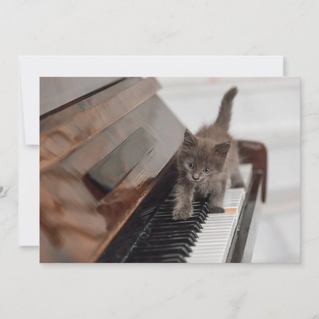 Cutest Baby Animals | Kitten on Piano Thank You Card (Front)