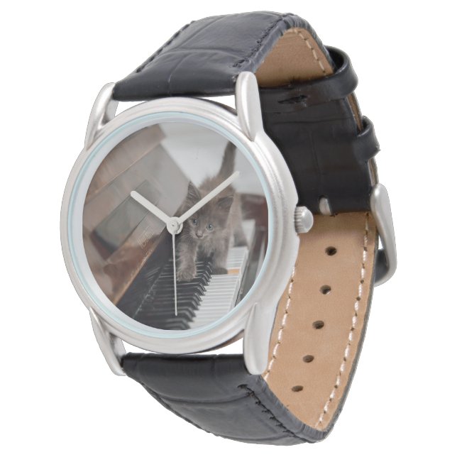 Cutest Baby Animals | Kitten on Piano Watch (Angled)