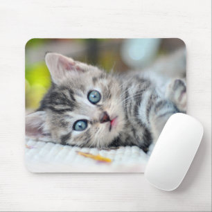 Cutest Baby Animals Kitten With Blue Eyes Mouse Mat