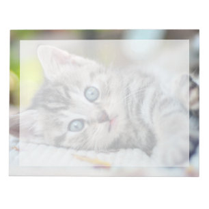 Cutest Baby Animals Kitten With Blue Eyes Notepad