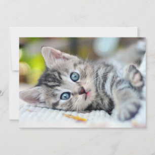 Cutest Baby Animals Kitten With Blue Eyes Thank You Card