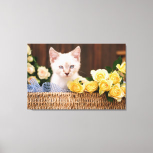 Cutest Baby Animals Kitten & Yellow Roses Canvas Print