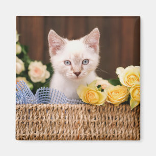 Cutest Baby Animals Kitten & Yellow Roses Magnet