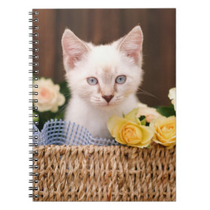 Cutest Baby Animals Kitten & Yellow Roses Notebook